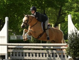 Daventrys Emerald City