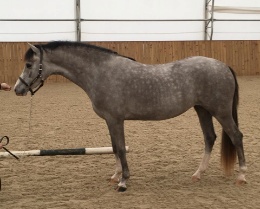 Daventrys Life Of The Party