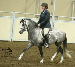 Daventrys Power Play