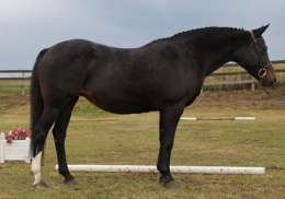 Rosecroft Smart Cookie