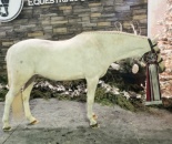 Daventrys Emerald City