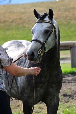 Photo Credit: Briarwood Photography