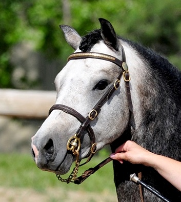 Photo Credit: Briarwood Photography