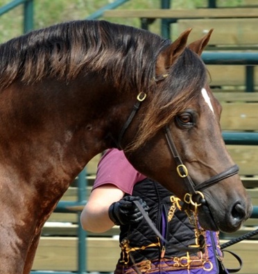 Photo Credit: Briarwood Photography