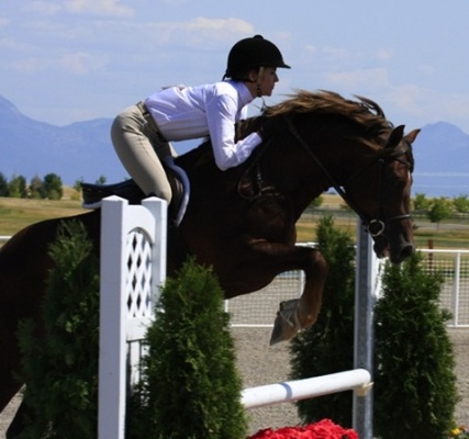 Goldhills Brandysnap