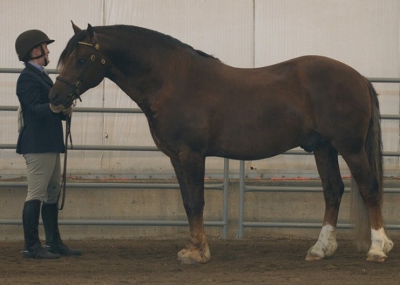 Photo Credit: Rangeland Photography