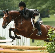 All Heart  Photo Credit: Al Cook Photography