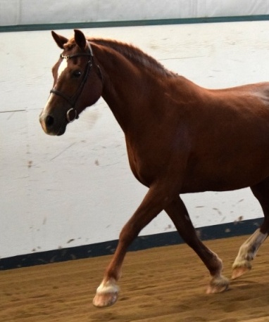 Photo Credit: Ann Daum Kustar