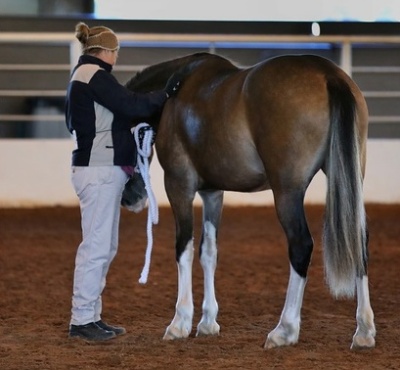 Photo Credit: Lynn Novay Photography