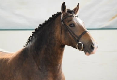 Photo credit: Ann Daum Kustar