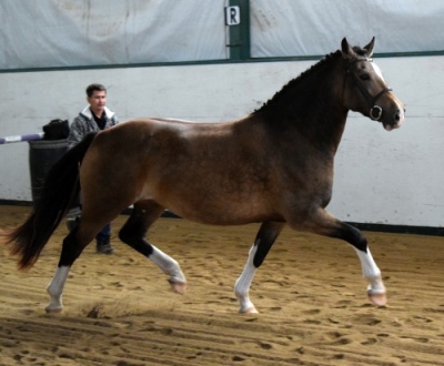 Photo Credit: Ann Daum Kustar