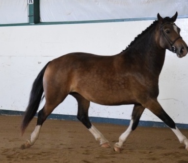 Photo credit: Ann Daum Kustar