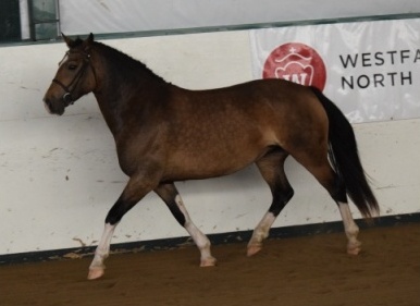 Photo credit: Ann Daum Kustar